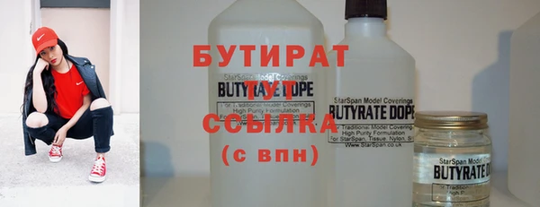 гидра Няндома